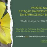 Sul Informação - A Rocha promove «Semana dos Polinizadores» de 21 a 26 de Março