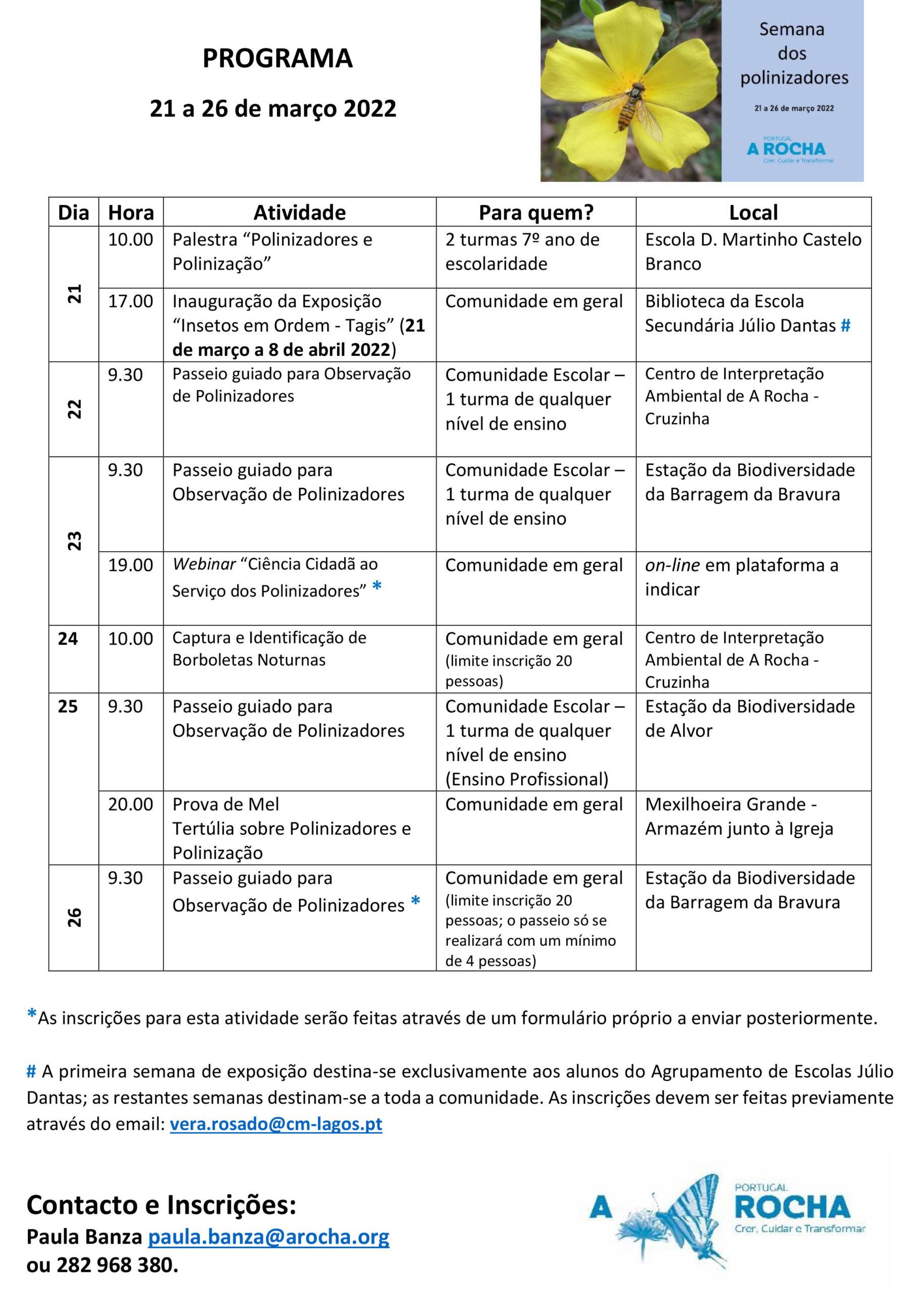 Sul Informação