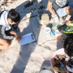 Sul Informação - Mais de 2 mil pessoas ajudaram a limpar os oceanos numa “Ação Lixo Marinho!”
