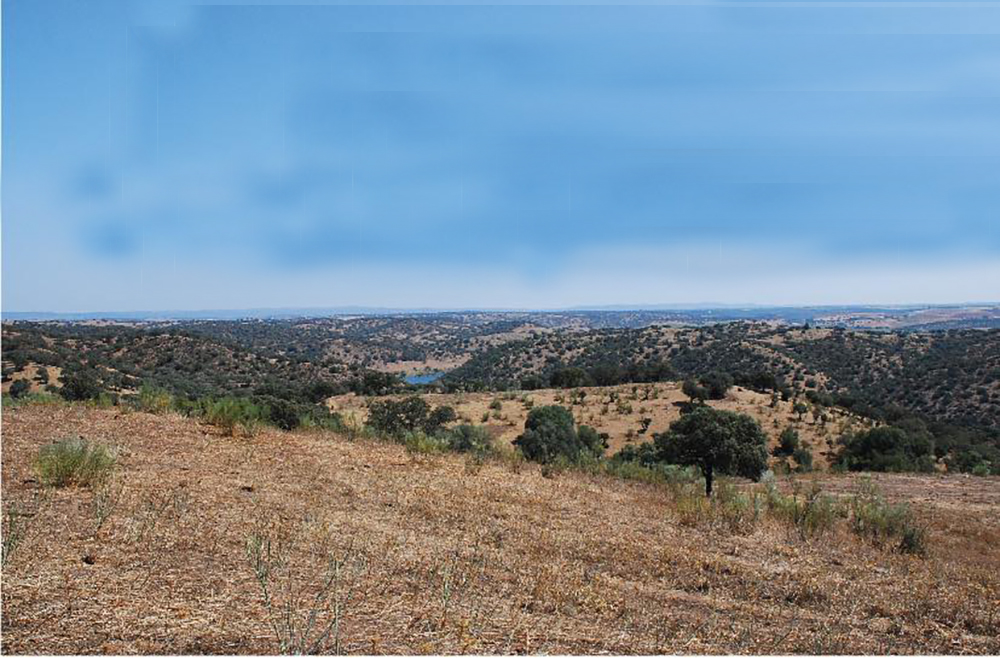 Sul Informação - Beja acolhe apresentação de resultados do Odyssey Sensing Project em dois sítios arqueológicos