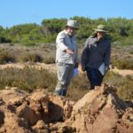 Sul Informação - Equipa internacional de cientistas procura informação inédita sobre tsunamis no Paul do Martinhal