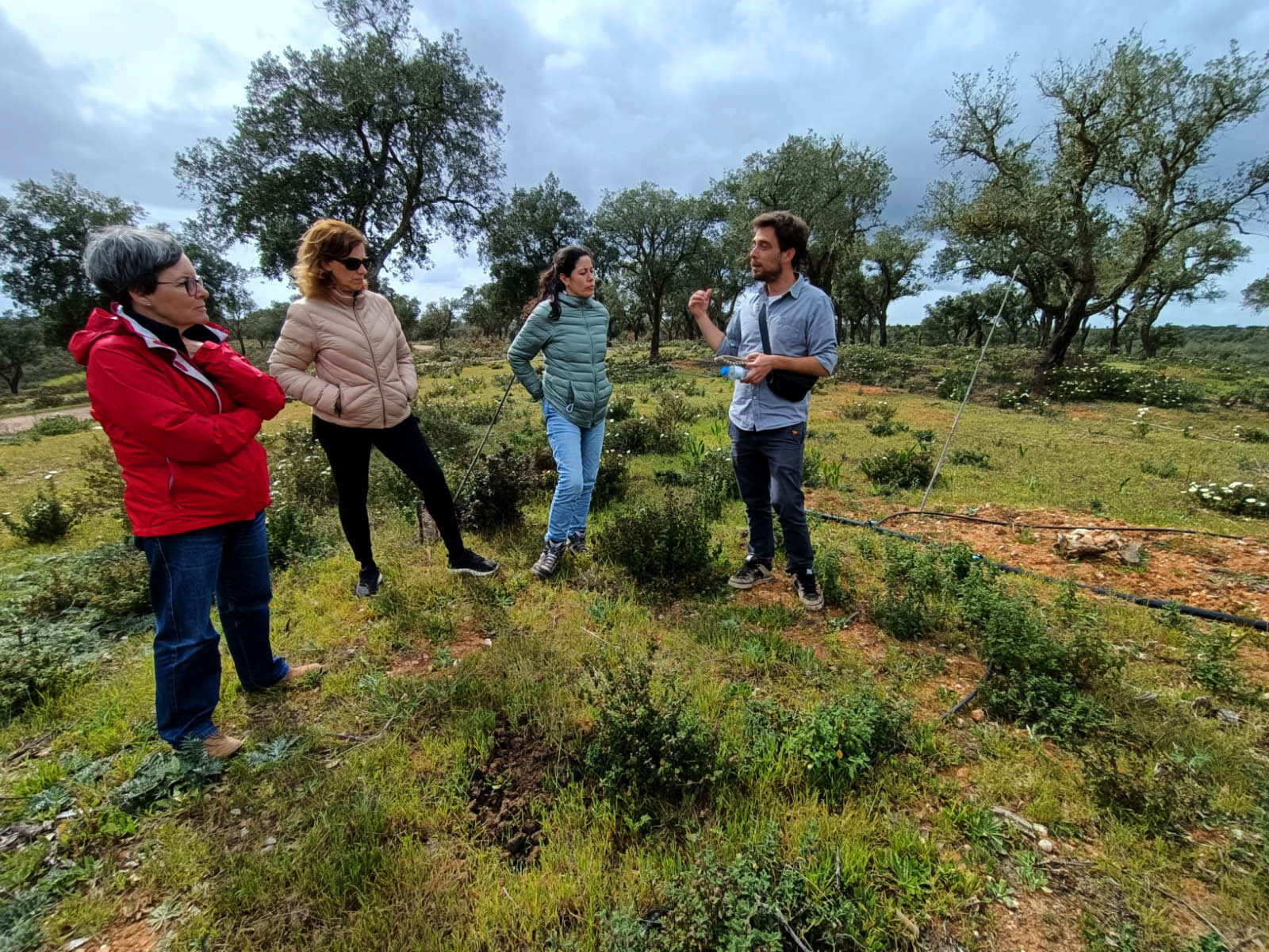 Sul Informação - Novo projeto quer parar a desertificação no Baixo Alentejo