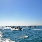 Sul Informação - Pescadores da Culatra querem pescar nos lotes abandonados da aquacultura offshore da Armona