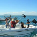 Sul Informação - Pescadores da Culatra querem pescar nos lotes abandonados da aquacultura offshore da Armona