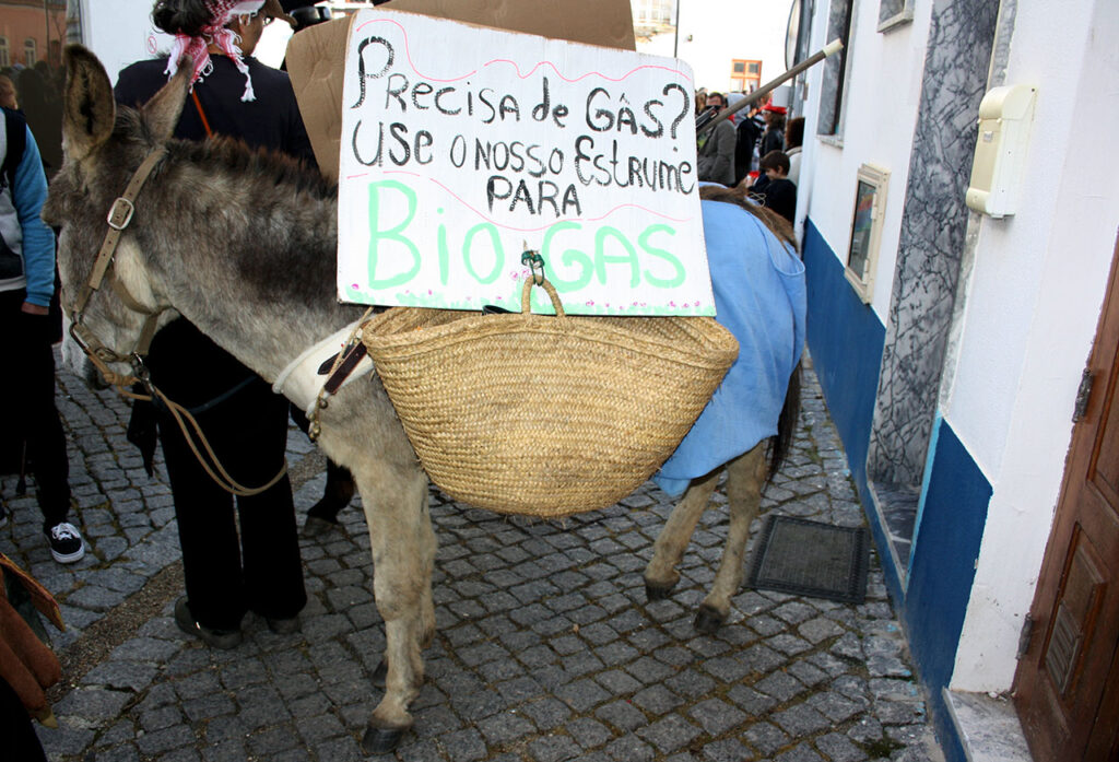 Sul Informação