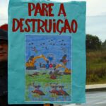 Sul Informação - Nem a chuva desmobilizou protesto contra o aterro de zona húmida em Lagoa