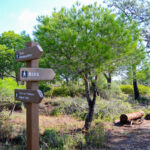 Sul Informação - Turismo do Algarve investe no Parque Natural da Ria Formosa já a pensar na cogestão