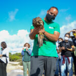 Sul Informação - Turismo do Algarve investe no Parque Natural da Ria Formosa já a pensar na cogestão