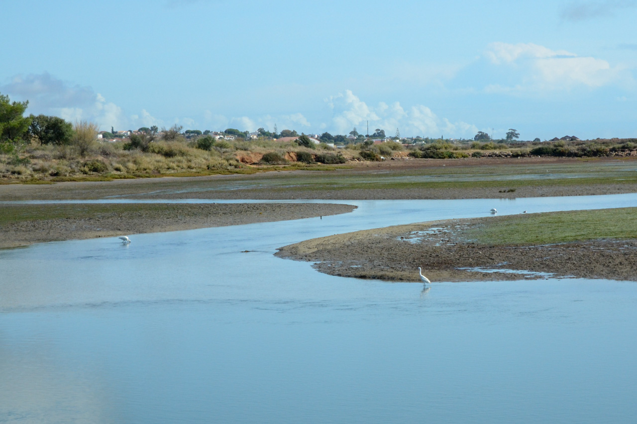 Sul Informação - Turismo do Algarve investe no Parque Natural da Ria Formosa já a pensar na cogestão