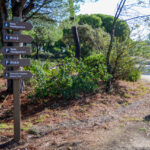 Sul Informação - Turismo do Algarve investe no Parque Natural da Ria Formosa já a pensar na cogestão
