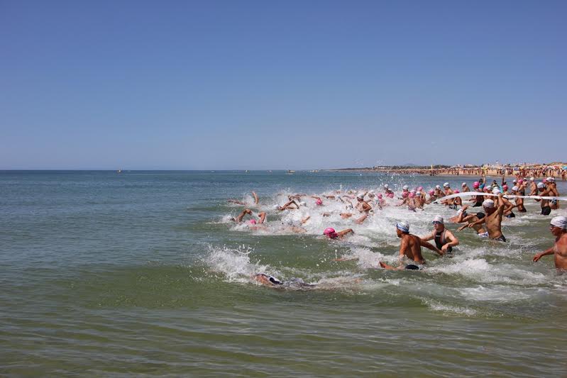 Sul Informação - Prova de natação de Mar atraiu 200 atletas à Praia da Alagoa de Castro Marim