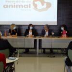Sul Informação - Tavira quer ser «referência na defesa dos direitos e do bem-estar» com provedora do animal