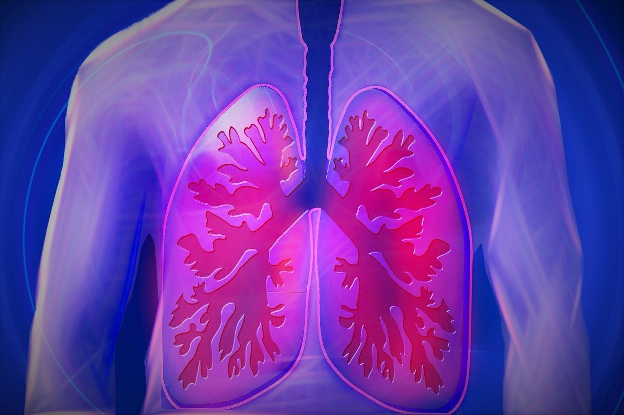 Sul Informação - Taxa de incidência da tuberculose está a descer no Algarve