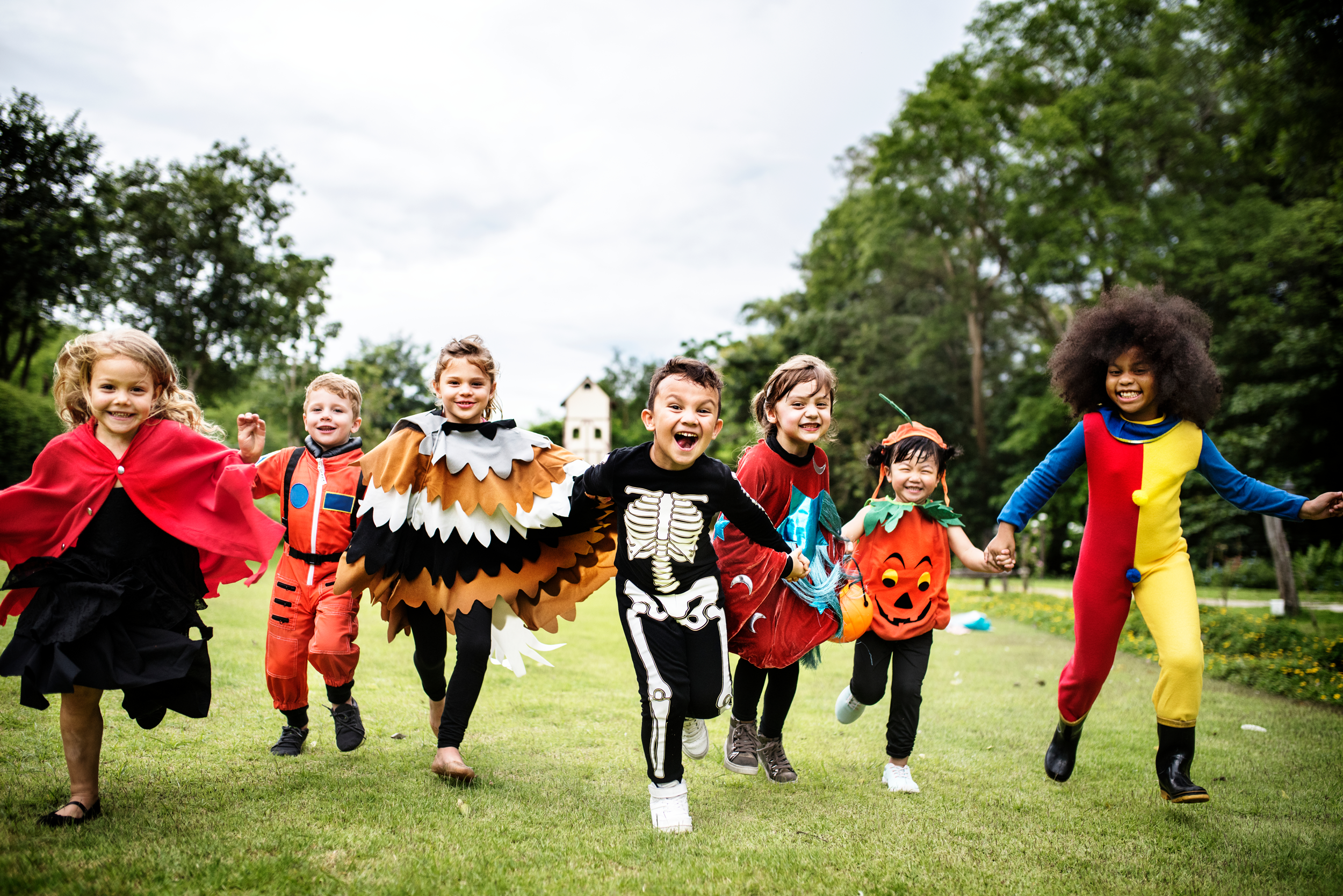 Sul Informação - Quinta do Lago celebra Outono e Halloween com programa para todas as idades