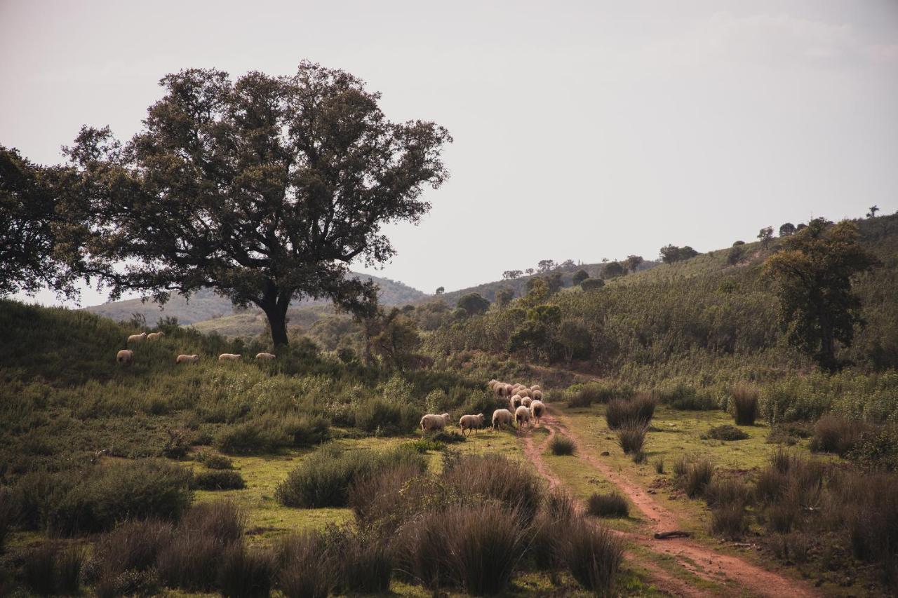 Sul Informação - Quinta do Freixo promove evento dedicado à agricultura regenerativa