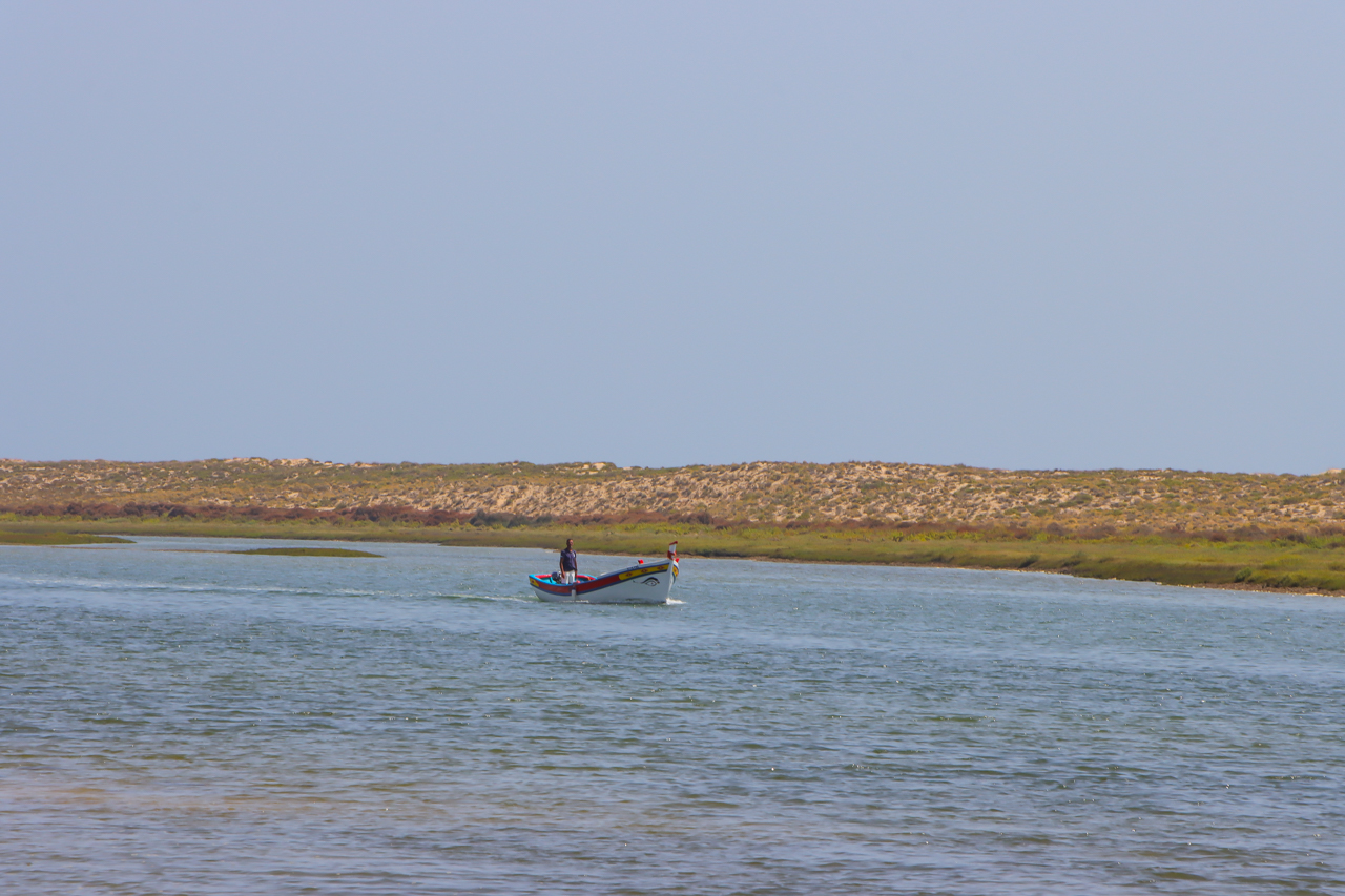 Sul Informação - Agentes de animação turística da Ria Formosa têm ação de capacitação “à sua espera”