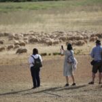 Sul Informação - Quinta do Freixo mostrou os resultados da sua aposta na agricultura regenerativa