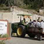 Sul Informação - Quinta do Freixo mostrou os resultados da sua aposta na agricultura regenerativa