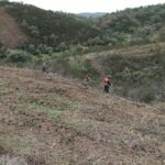 Sul Informação - Programa REACT-EU mostra que interior de Loulé não está esquecido