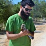 Sul Informação - Sobrevivência do único “hospital” para animais selvagens do Algarve esteve «tremida»