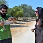 Sul Informação - Sobrevivência do único “hospital” para animais selvagens do Algarve esteve «tremida»