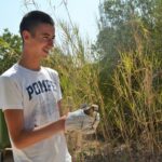 Sul Informação - Sobrevivência do único “hospital” para animais selvagens do Algarve esteve «tremida»