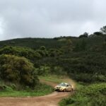 Sul Informação - Carlos Fernandes vence o muito disputado Rali de Vila do Bispo [com vídeo e fotos]