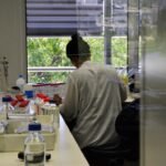 Sul Informação - Algarve já rastreia cancro do cólon e do reto e inova na mamografia