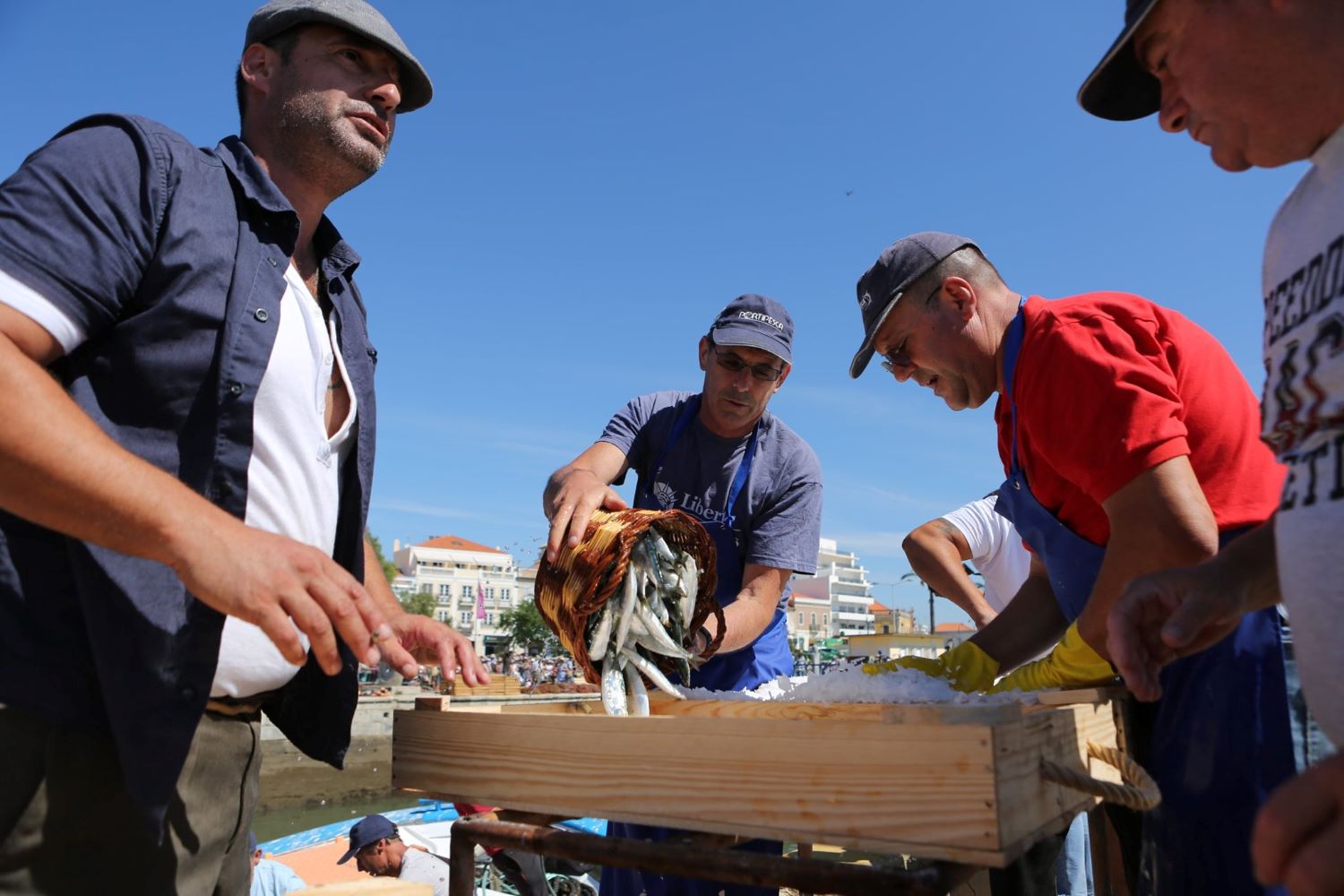 Sul Informação - Portimão convida residentes e visitantes para o 27º Festival da Sardinha