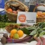 Sul Informação - Já nasceu a Rede Regional de Mercados Locais do Algarve