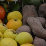 Sul Informação - Já nasceu a Rede Regional de Mercados Locais do Algarve