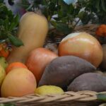 Sul Informação - Já nasceu a Rede Regional de Mercados Locais do Algarve