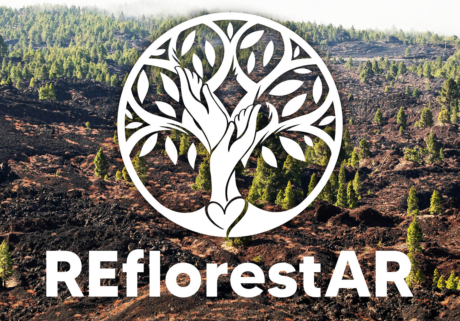 Sul Informação - Seja voluntário para reflorestar uma área ardida no interior de Castro Marim