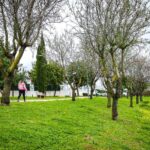 Sul Informação - Albufeira alarga telegestão da rega ao Parque do Ribeiro e ao jardim de Montechoro