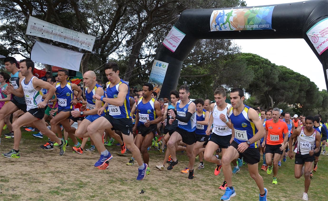 Sul Informação - Melhores atletas algarvios disputam Campeonato Regional de Corta-Mato em Olhão