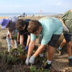 Sul Informação - Alunos de Portimão arrancam chorão na Ria de Alvor