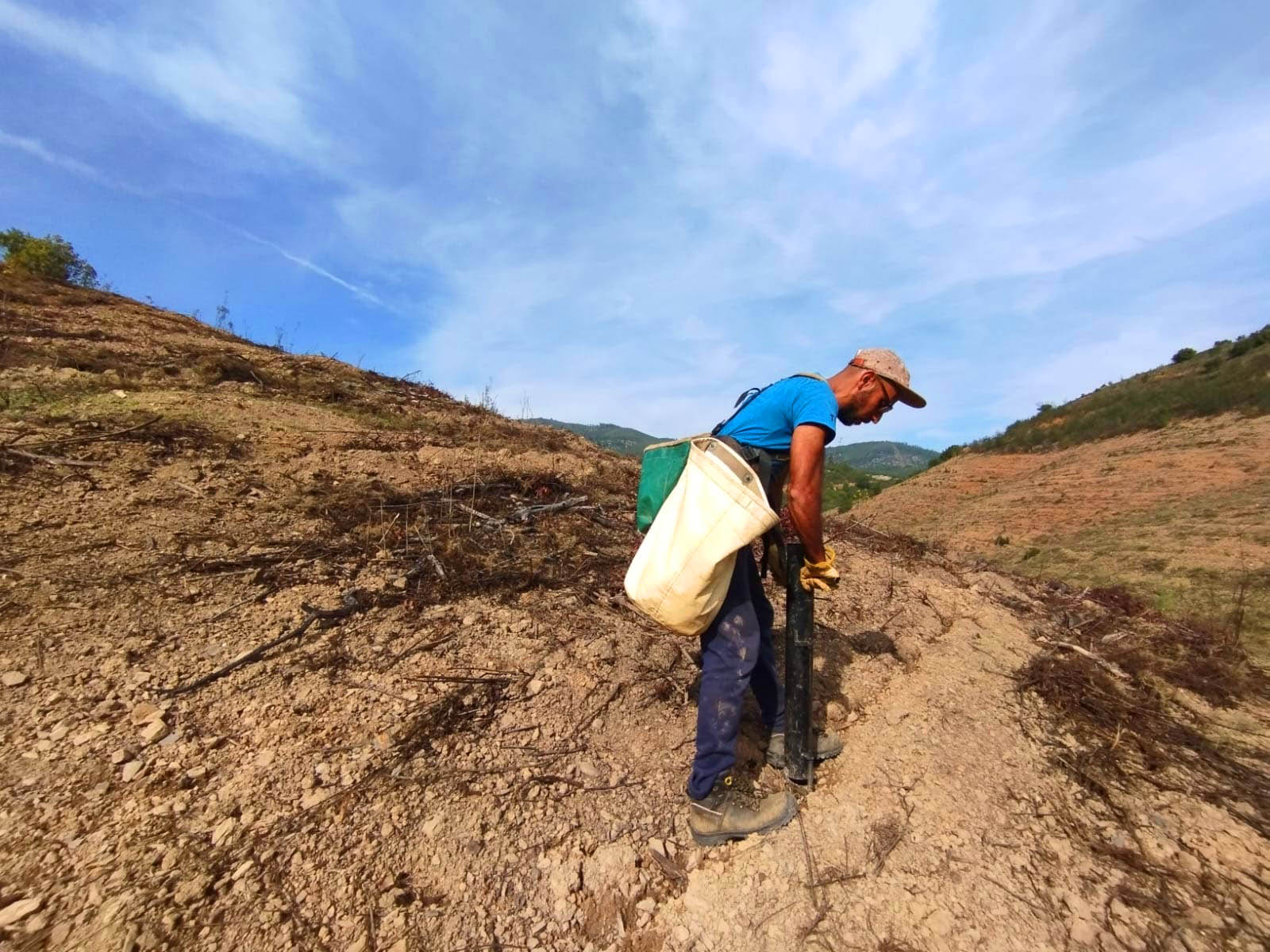 Sul Informação - Projeto continua mais um ano para plantar 500 mil árvores na serra de Monchique