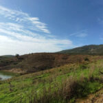 Sul Informação - Projeto continua mais um ano para plantar 500 mil árvores na serra de Monchique