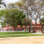Sul Informação - Olhão tem um novo jardim que poupa água