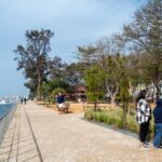 Sul Informação - Olhão tem um novo jardim que poupa água