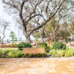 Sul Informação - Olhão tem um novo jardim que poupa água