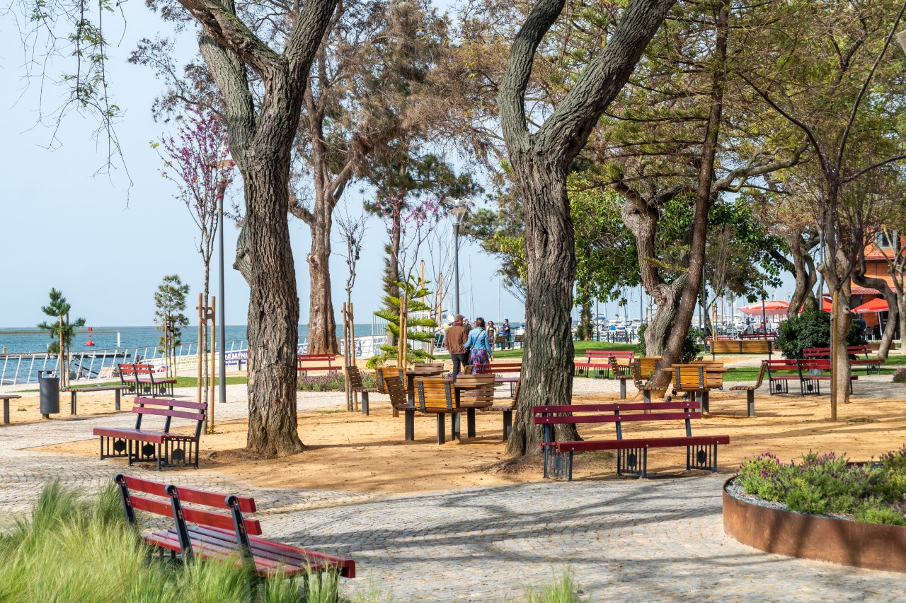 Sul Informação - Olhão tem um novo jardim que poupa água