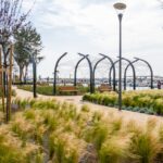 Sul Informação - Olhão tem um novo jardim que poupa água