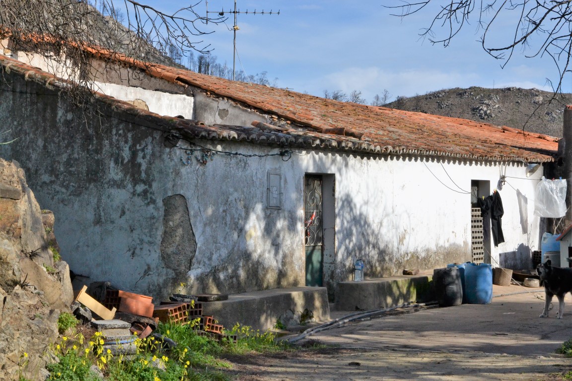 Sul Informação - “Eles” e os monchiquenses não se entendem