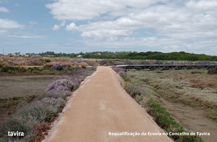 Sul Informação - Obras da Ecovia de Tavira já estão na segunda fase