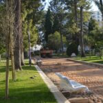Sul Informação - Jardim da Alameda será «devolvido aos farenses entre Março e Abril»