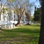 Sul Informação - Jardim da Alameda será «devolvido aos farenses entre Março e Abril»
