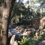 Sul Informação - Jardim da Alameda será «devolvido aos farenses entre Março e Abril»