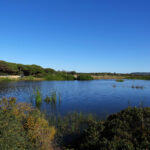Sul Informação - Câmara de Loulé cria Reserva Natural Local da Foz do Almargem e do Trafal