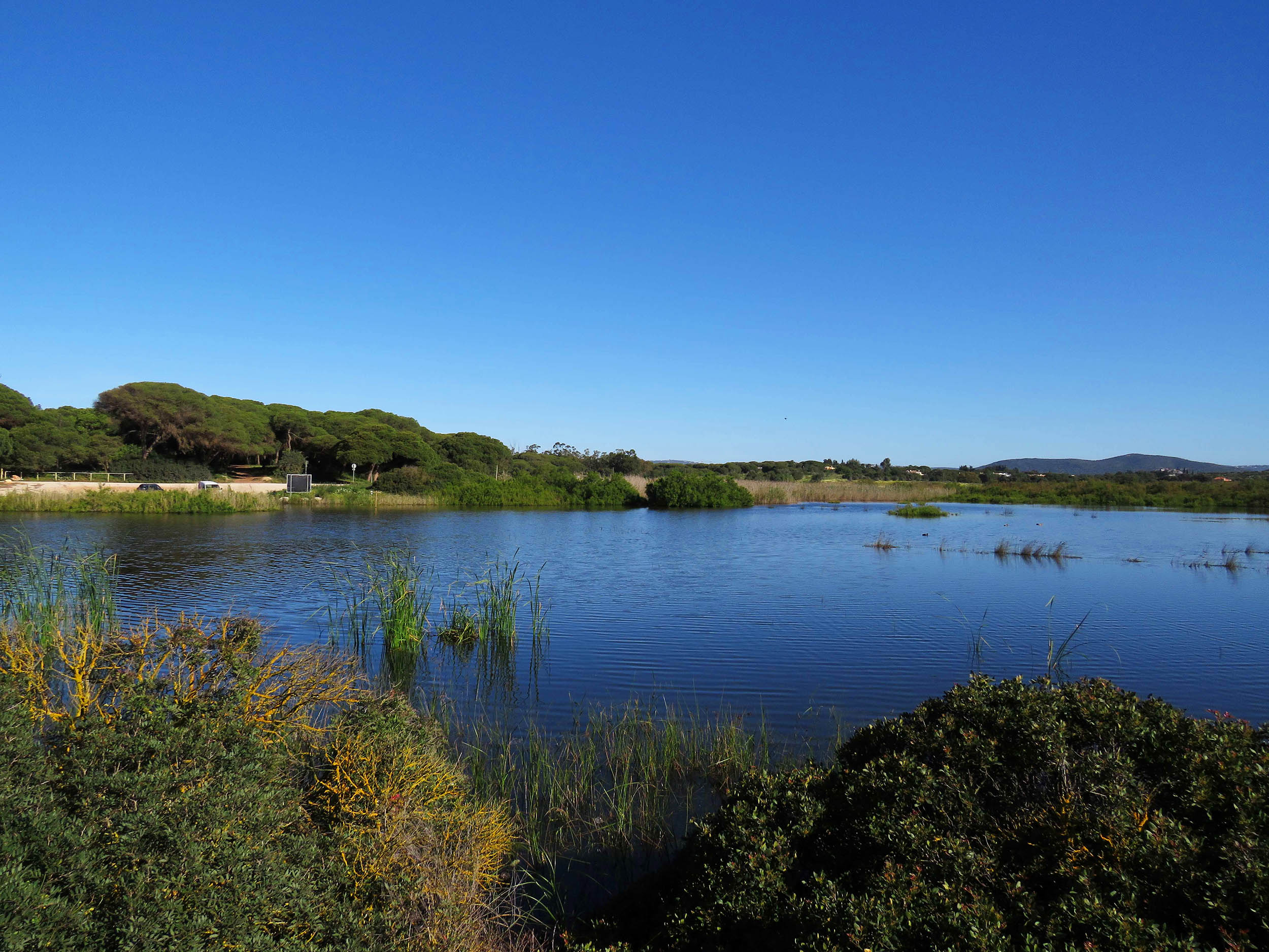 Sul Informação - Câmara de Loulé cria Reserva Natural Local da Foz do Almargem e do Trafal
